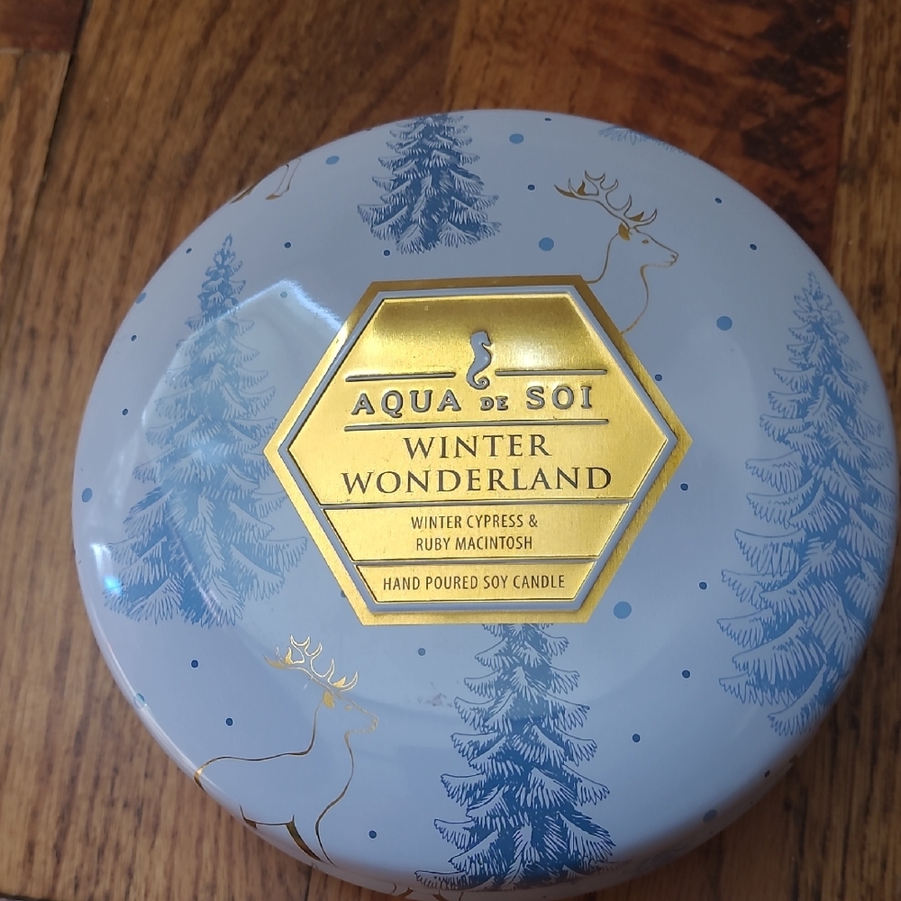 Winter Wonderland Hand Poured Soy Candle 3 Wicks